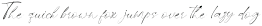 NCL Boquet Guides otf (400)