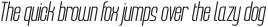 Bronex Light Italic otf (300)