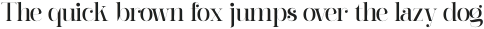 Barfiola Thin ttf (100)