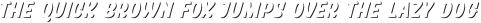 Pinsher Shadow otf (400)