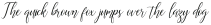Astereiska Script Regular otf (400)