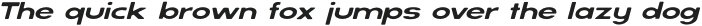 SERVO ROUNDED Light Italic otf (300)