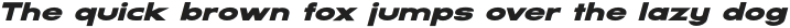SERVO Black Italic otf (900)