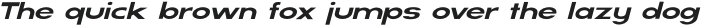 SERVO Light Italic otf (300)