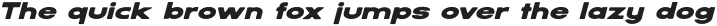 SERVO ROUNDED Black Italic otf (900)