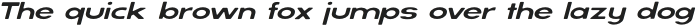 SERVO ROUNDED Extra Light Italic otf (200)