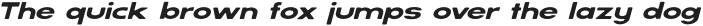 SERVO ROUNDED Medium Italic otf (500)