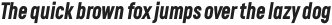 RF Rufo Black Italic ttf (900)