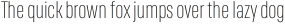 RF Rufo Thin ttf (100)
