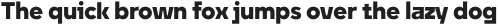 Unytour Heavy otf (800)
