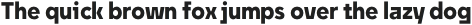 Unytour Medium otf (500)
