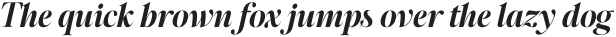 Megafield Bold Italic otf (700)
