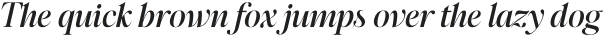 Megafield Medium Italic otf (500)
