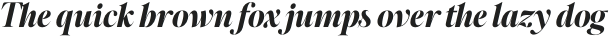 Megafield Extra Bold Italic otf (700)