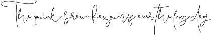 Pattersonville Script Font preview