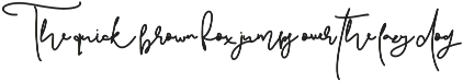 Pattersonville Script Font preview