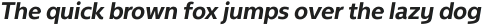 NeueType Bold Italic otf (700)