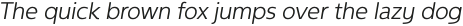 NeueType Light Italic otf (300)