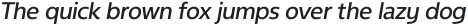 NeueType Medium Italic otf (500)