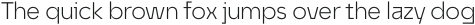 Unytour Display Light otf (300)