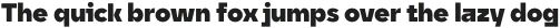 Unytour Display Heavy otf (800)