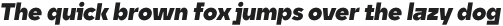 Unytour Display Heavy Italic otf (800)