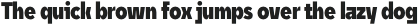 Unytour Display Heavy Condensed otf (800)
