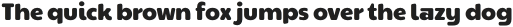Karnet Bold Sans otf (700)
