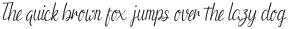 Fertiko Worth Signature otf (400)