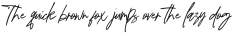 Palosty Signature Regular otf (400)