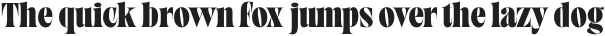 TANSUNDAYMORNING-Display otf (400)