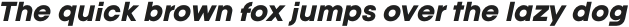 Franie Bold Italic otf (700)