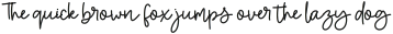Missera Signature otf (400)