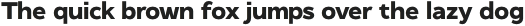 Quixotic Sans Bold otf (700)