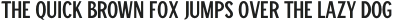 WinstonSans-Regular otf (400)