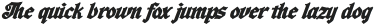 Wardshus Calligraphy Bold Italic otf (700)