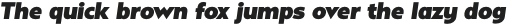 Carl Gauss Italic otf (400)