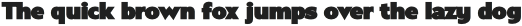 Carl Gauss Bold otf (700)