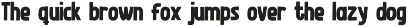 Wildlife Animal - Display Theme Font font preview