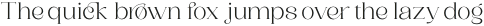 Saylist Extralight otf (200)