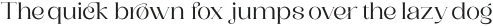 Saylist Light otf (300)