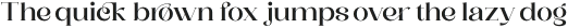Saylist Medium otf (500)
