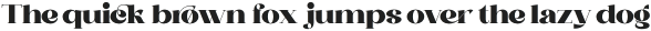 Saylist Extrablack otf (900)