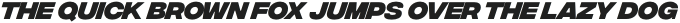Integral CF Extra Bold Oblique otf (700)