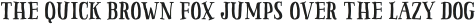 Pinto NO_03 otf (400)