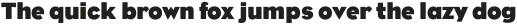 IT Encore Sans Bold ttf (700)