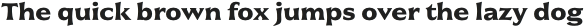 Civane Ext Bold otf (700)