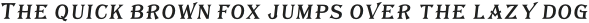 TavernFillSL-Italic otf (400)