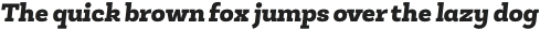 Roble Alt Black Italic otf (900)