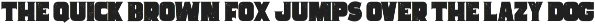 Space Cowboy Serif Aged and Clean preview